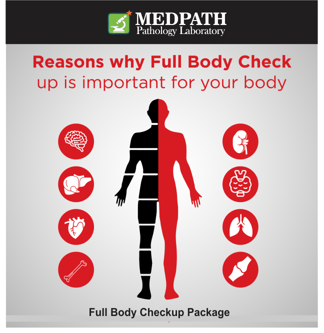 how-often-should-you-get-a-full-body-checkup-and-what-does-it-entail